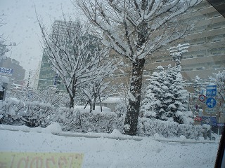 １月１９日雪に覆われた札幌の風景