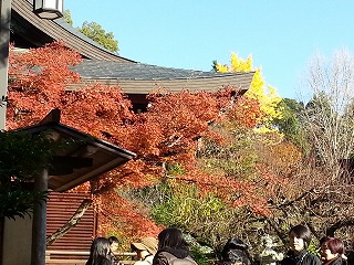 北野神社庭園入り口から見た色とりどりの紅葉