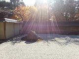 石庭の中に太陽の光が強く当たって､周りの木の陰が映り込んでいる