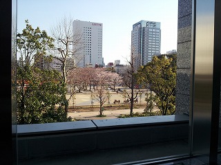 マンション３階のラウンジから見える桜の花